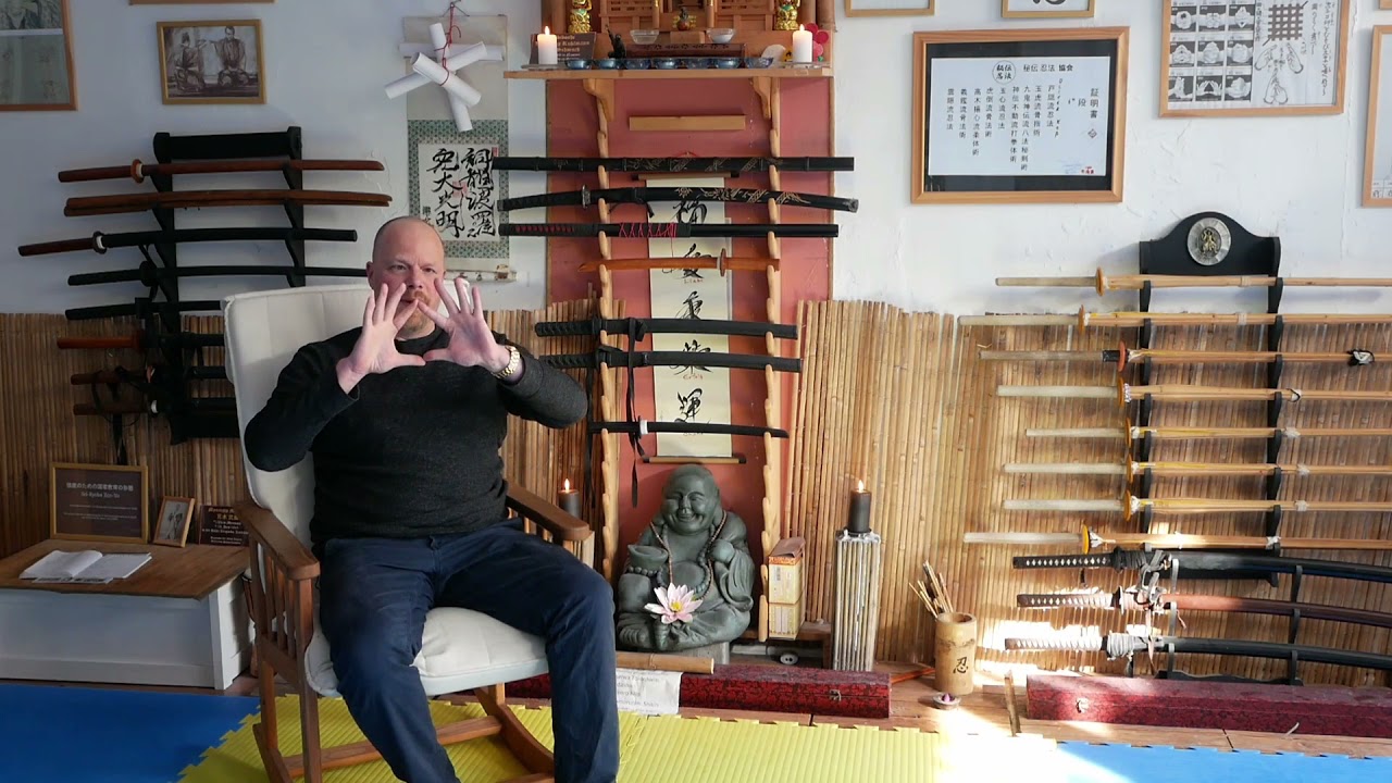Ninjutsu online lernen