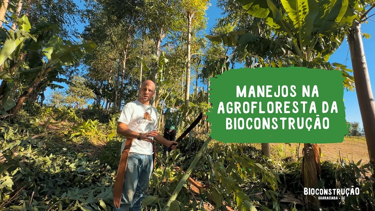 Manejos na AGROFLORESTA da Bioconstrução