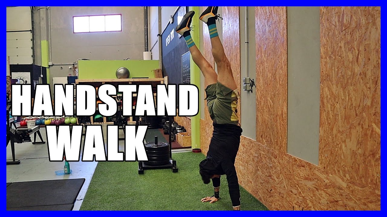¿Cómo llevas el HANDSTAND WALK? 🤸‍♂️ APRENDE a HACER el PINO 🌲