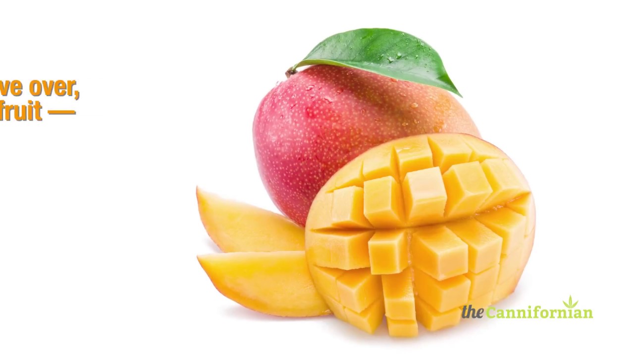 Can mangoes affect a cannabis high?
