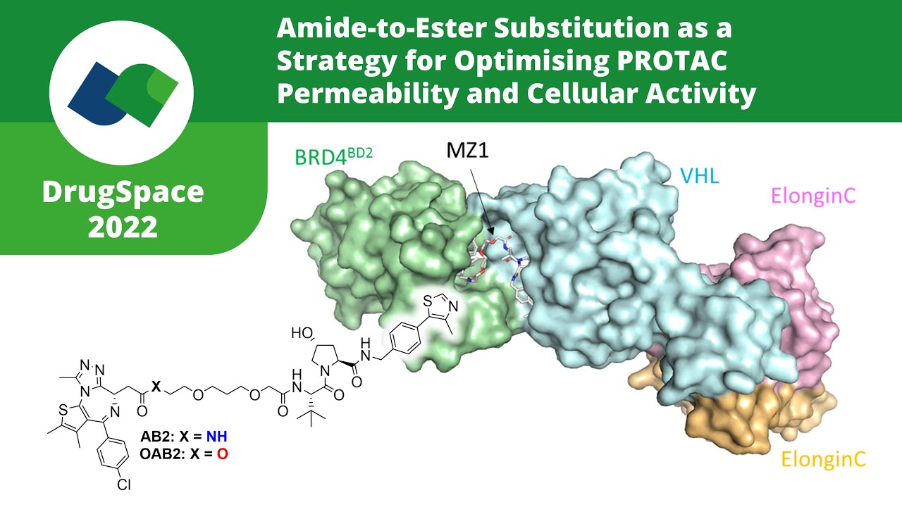 Amide-to-Ester Substitution as a Strategy for Optimising PROTAC Permeability and Cellular Activity