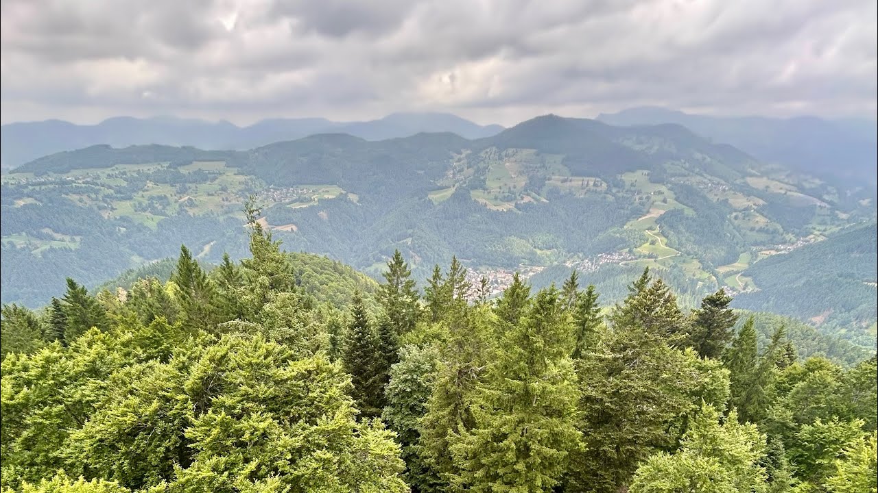 Hohe Möhr MTB Trail