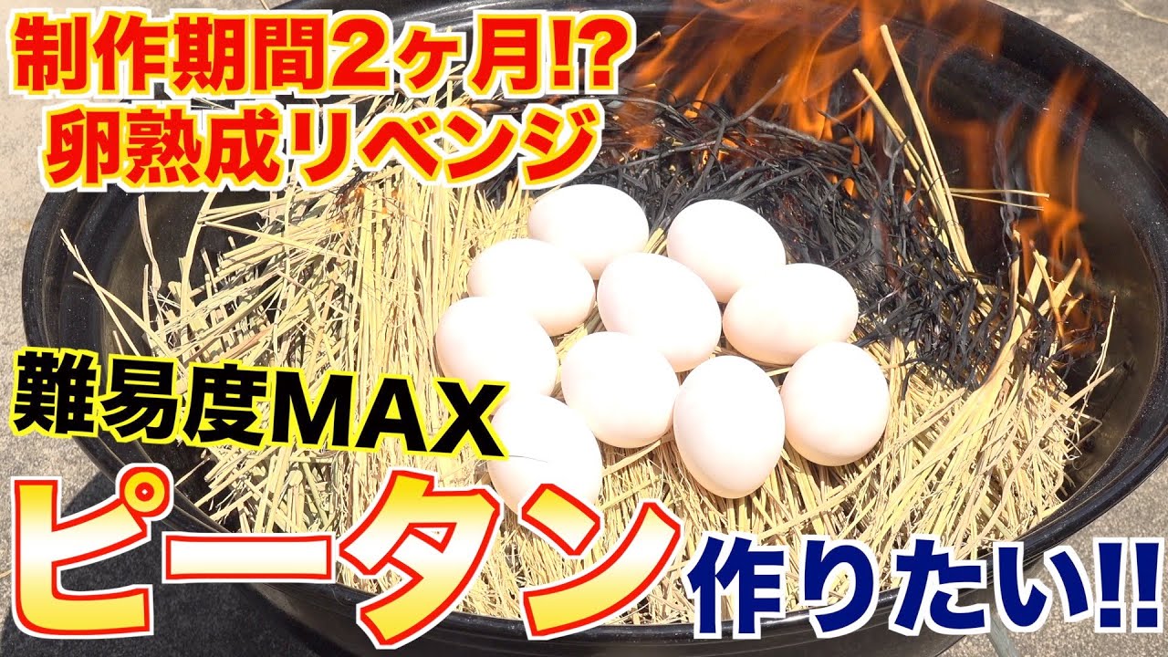 【2ヶ月熟成】ピータン(皮蛋)を作りたい!!