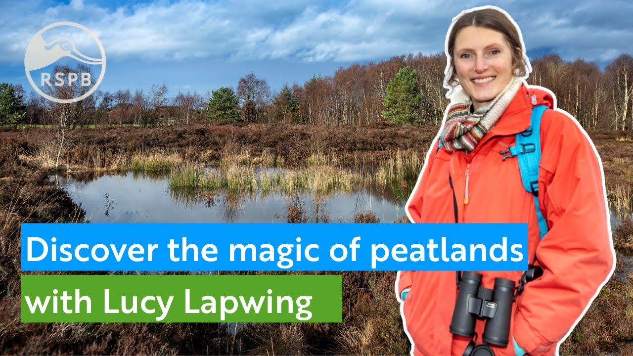 Discover the Magic of Peatlands with Lucy Lapwing | RSPB Northern Ireland
