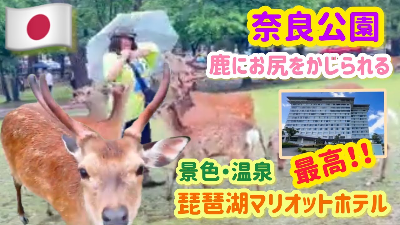 【神戸・奈良・琵琶湖】カーフェリーで日本一周【NO.4】雨の神戸＆奈良公園！琵琶湖マリオットホテルレ宿泊記