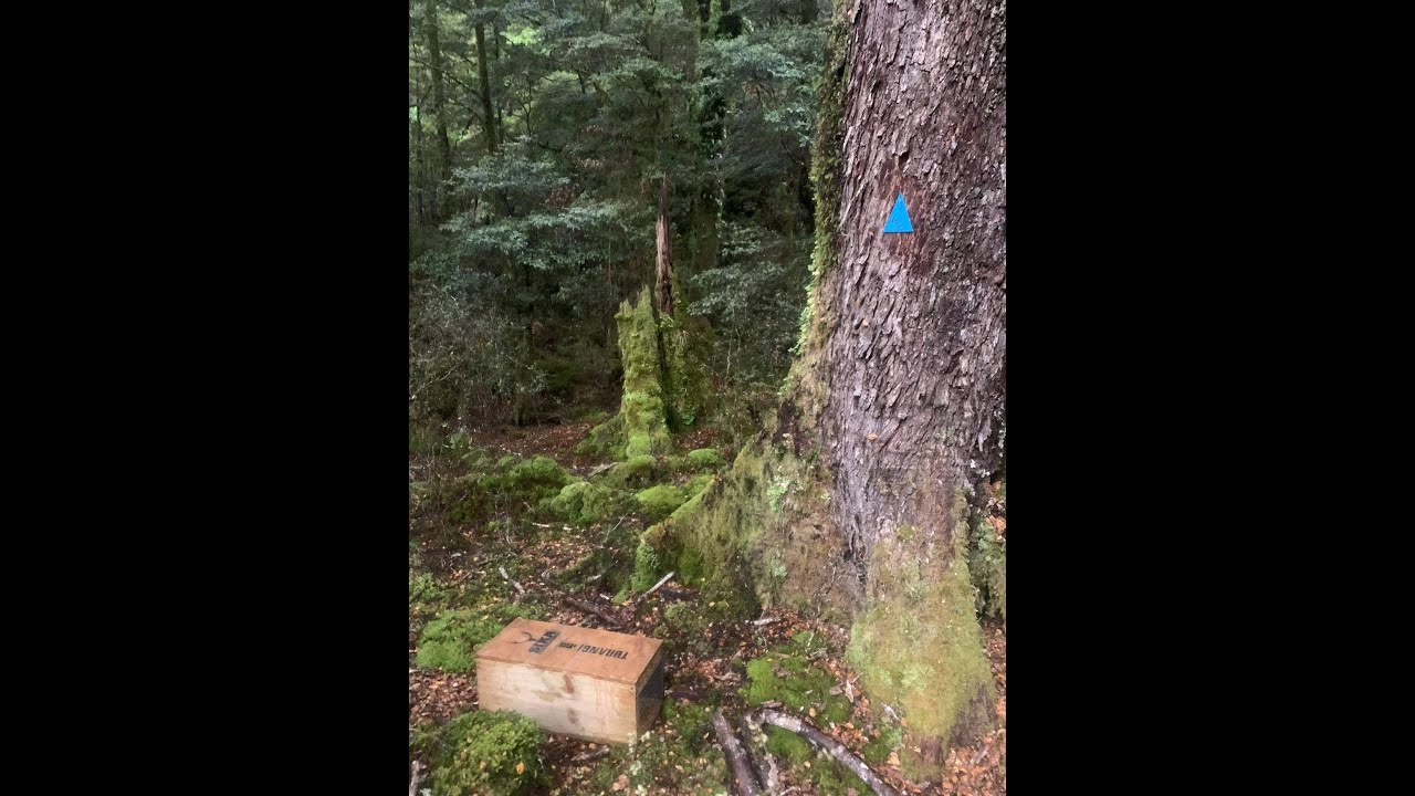 Traps demo by Cam Speedy