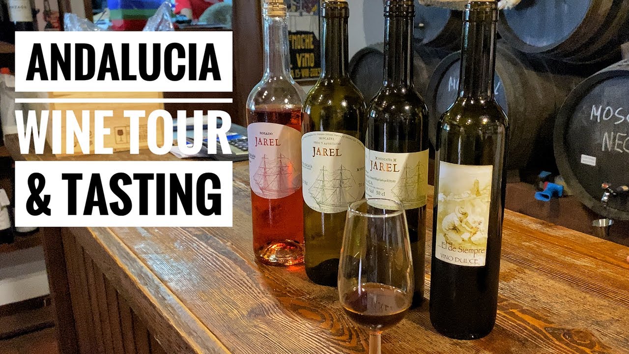 WINE TOUR IN ANDALUCIA, SPAIN | Muscatel wine tasting and visit to Torrox, Cómpeta and Sayalonga