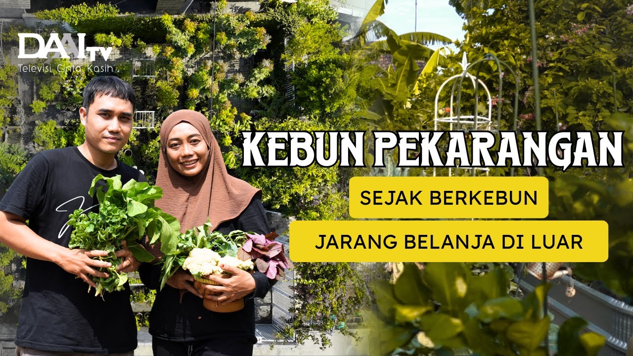 Menghemat Uang Belanja dengan Berkebun Organik - Kebun Kumbit