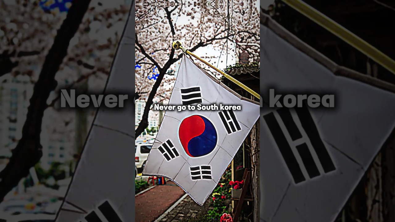 Never go to South Korea😔 | #short #viral #fyp #aesthetic #southkorea