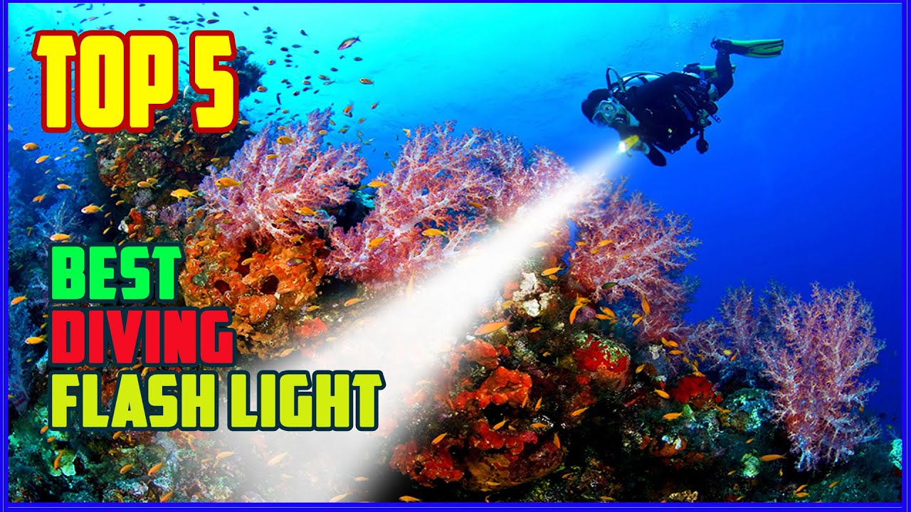 TOP 5 Best Diving Flash Lights 2025 | Don't Dive Without THIS Light &ndash; It Could Save Your Life