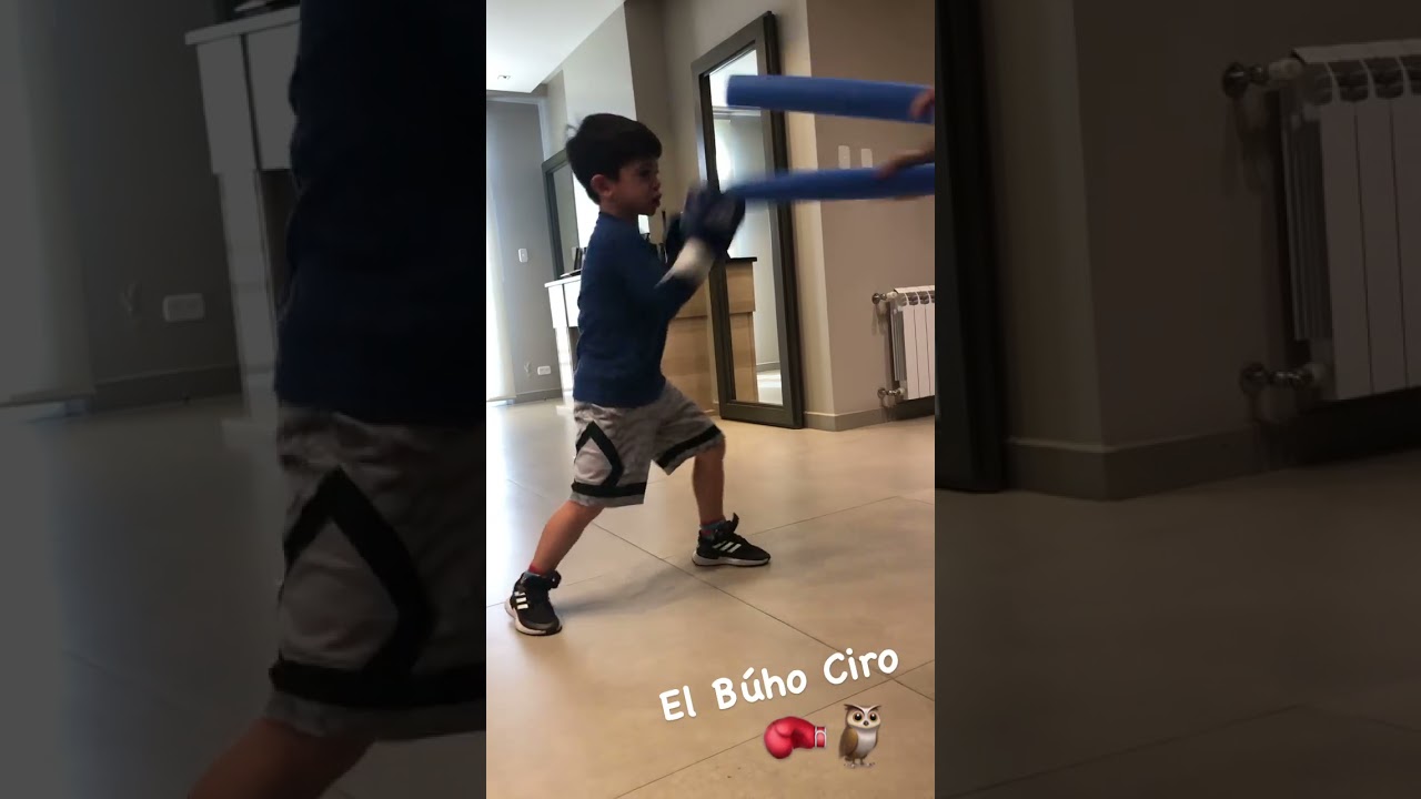 Mini boxeador  prodigio