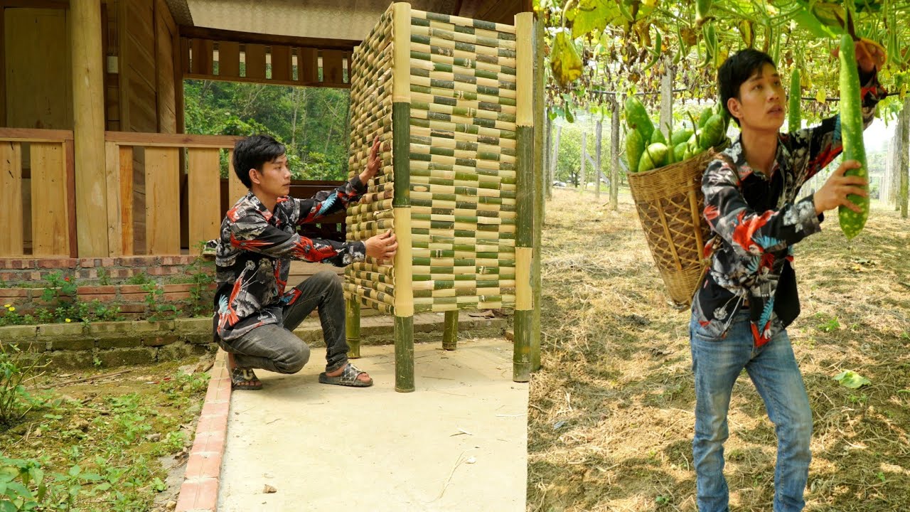 Harvest green gourds to sell - Make a wardrobe out of bamboo | Triệu Văn Tính