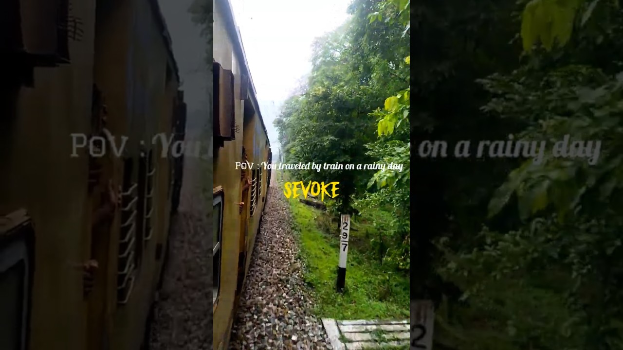 SEVOKE Train Journey||Dooars Beauty||Indian Railway||Siliguri Junction to ALIPURDUAR Junction||
