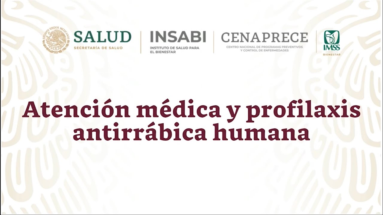3. Atención médica y profilaxis antirrábica humana