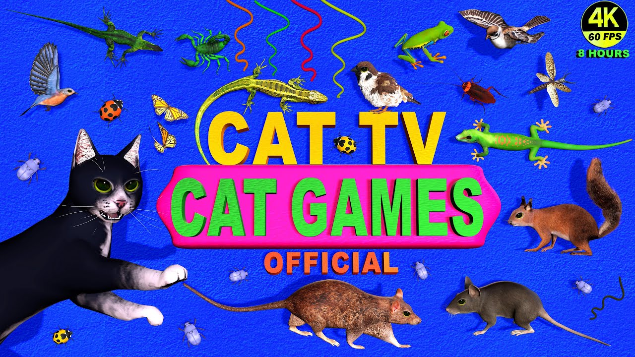 CAT GAMES 🐾 3D TV FOR CATS TO WATCH - ULTIMATE ENTERTAINMENT VIDEOS COMPILATION! 😻 4K 8 HOURS