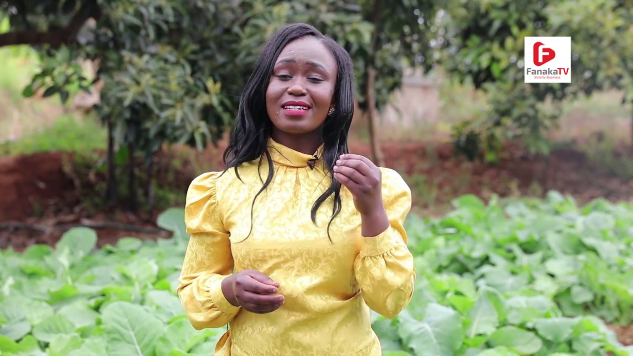 On the Farms of Africa SN1 EP1 (Mixed Farming and Tortoise Rearing)