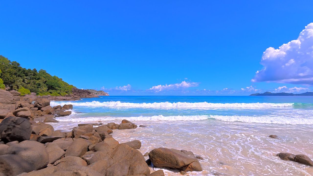 🌴 Beautiful Beach in All of The Seychelles Islands