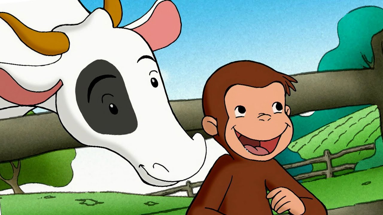 George ama le mucche 🐵 Curioso Come George 🐵 Cartoni per Bambini