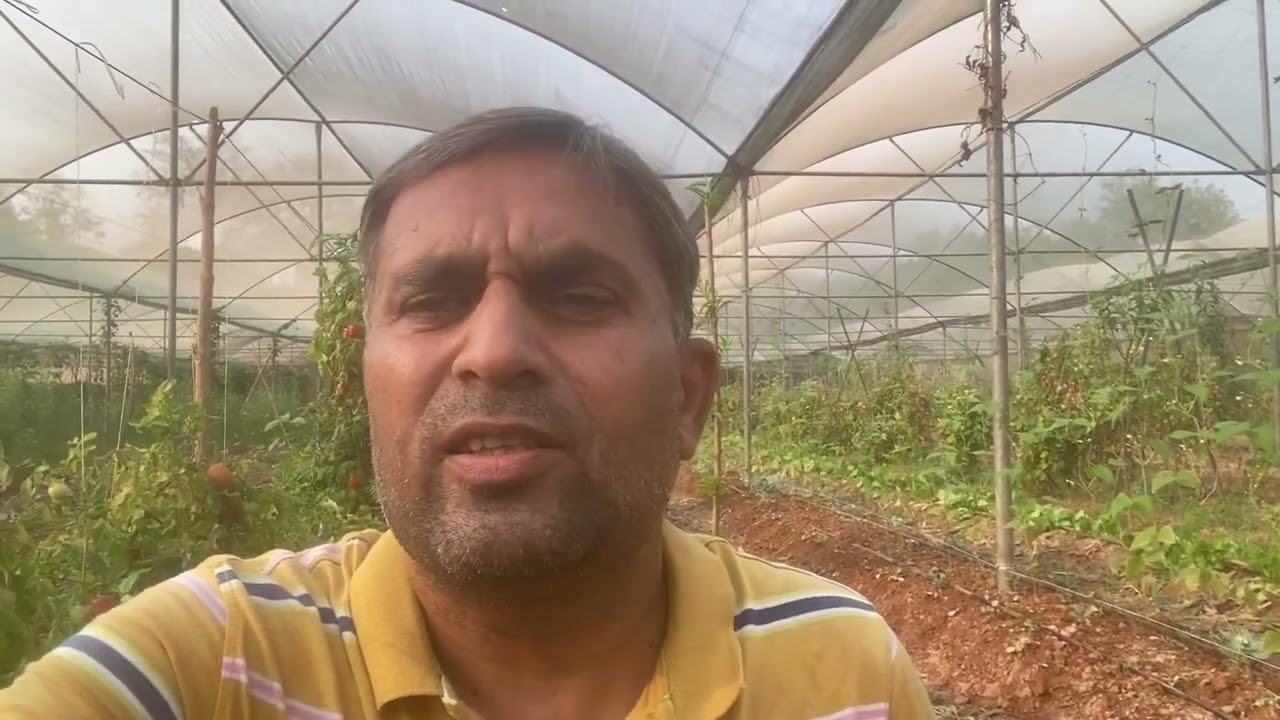 What is Mix Cropping? // Benifits of many crop in one place // Sowing different vegetables togather