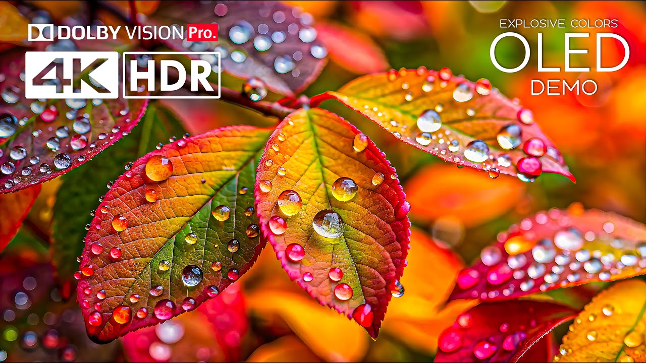 Взрывные цвета💥Фантастический HDR 4K 120 FPS Dolby Vision - 4к видео