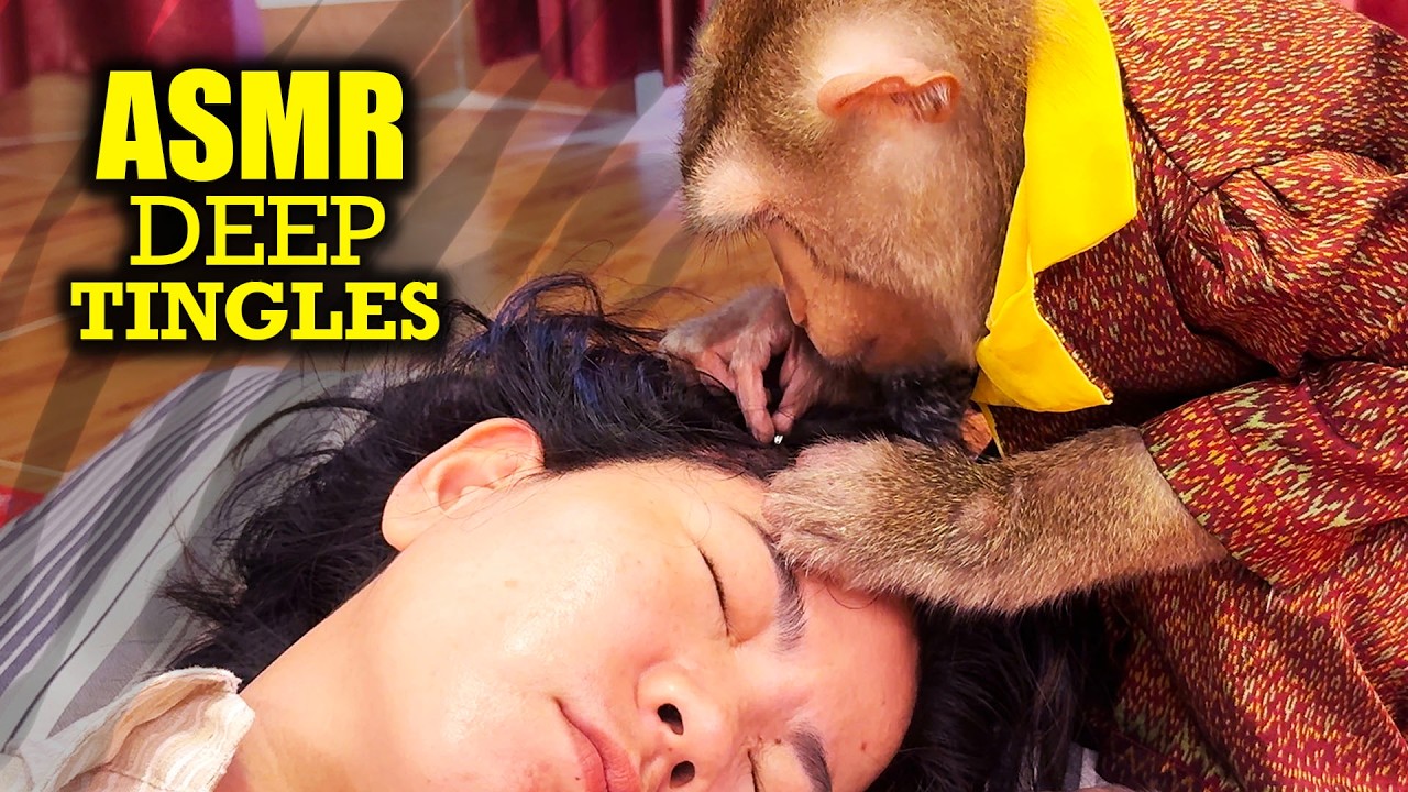 Fall Asleep Fast With Judy's Gentle Grooming & Face Massage (ASMR DEEP Tingles)