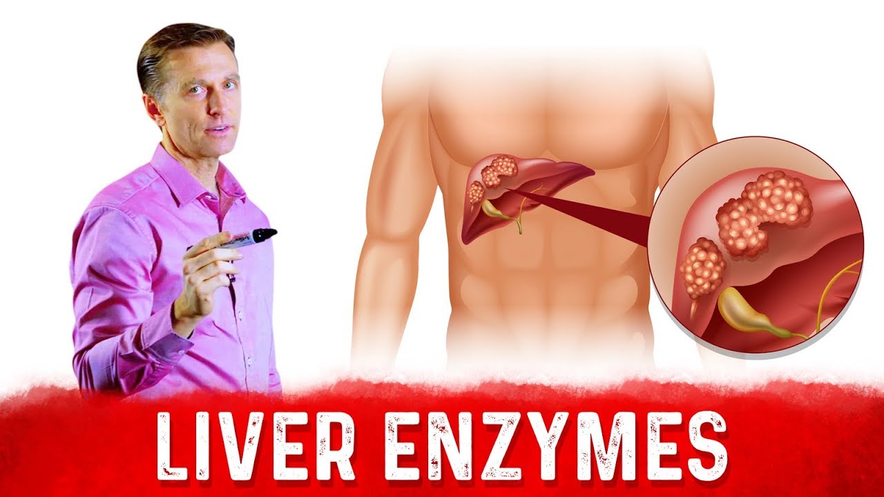 High Liver Enzymes [ALT & AST] &ndash; What Do They Mean? &ndash; Dr.Berg