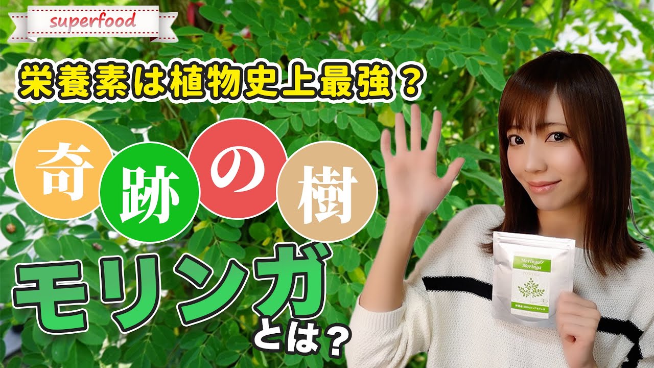 【モリンガ】植物史上最強スーパーフード？天然のアミノ酸・良質なタンパク質「奇跡の樹モリンガとは」【ダイエット】【アンチエイジング】【デトックス】【免疫力】