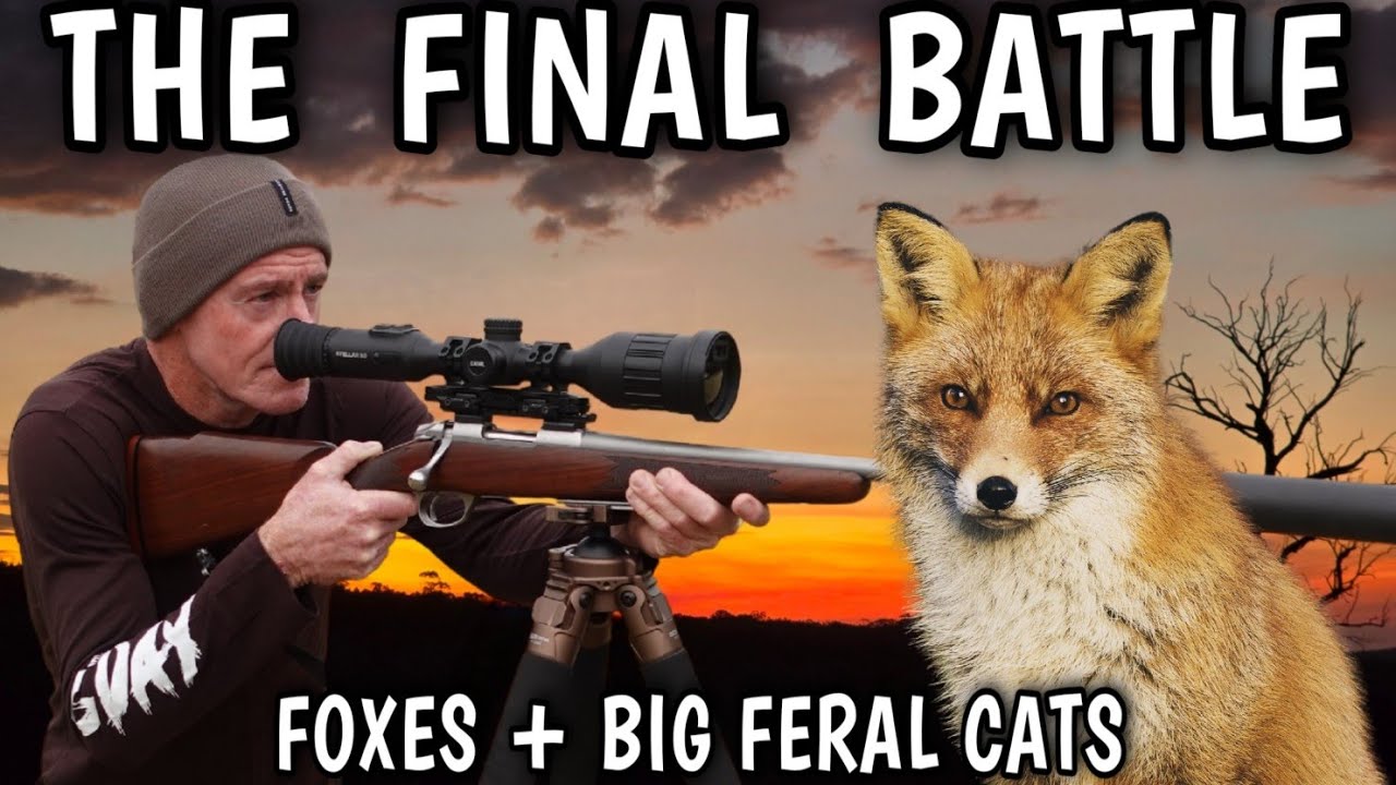 THE FINAL BATTLE || WAGING WAR ON THE FOXES & FERAL CATS IN AUSTRALIA