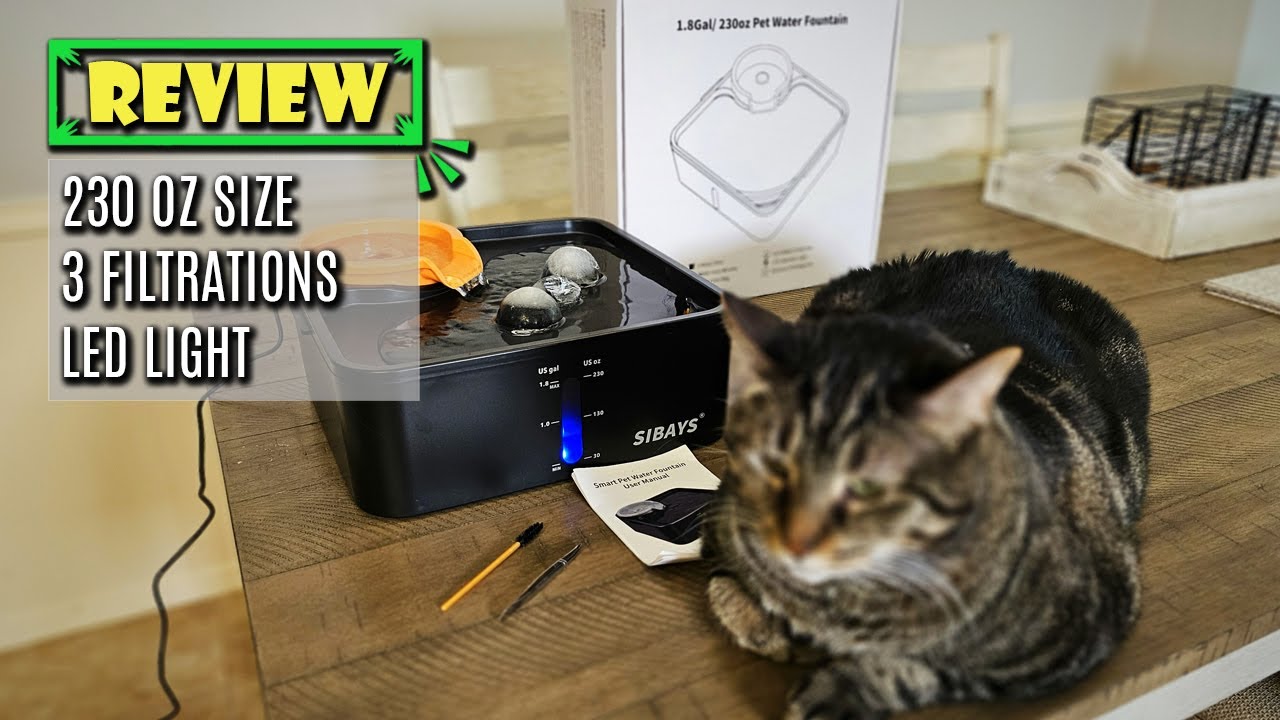 Review: SIBAYS Dog Water Fountain with LED Reminder & 5-Layer Filter