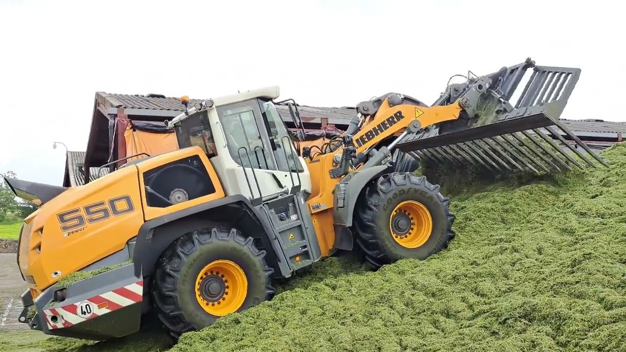 Silage '2025 Powerful Liebherr 550 loading shovel, 2nd cut, 21/06/2025 # pitwork #silage