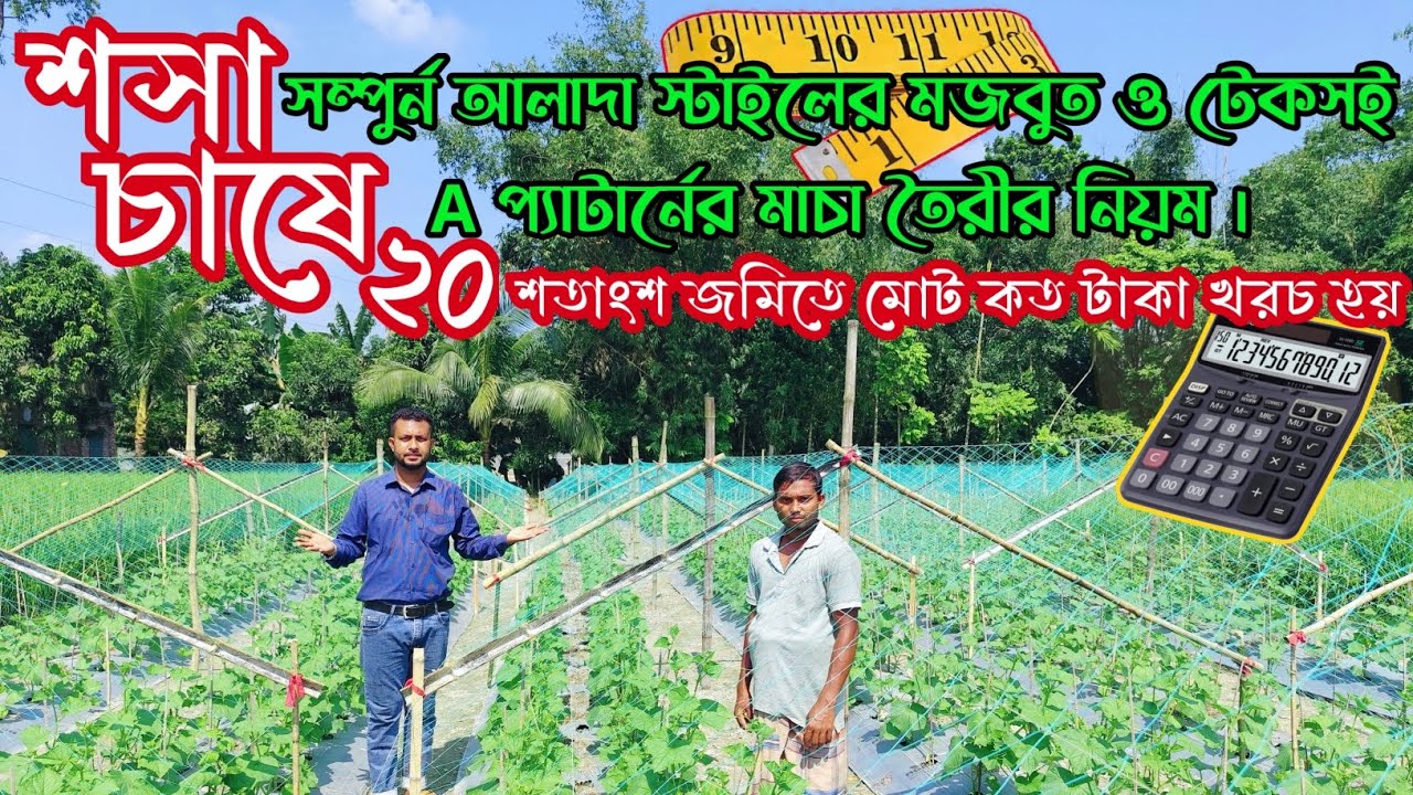 শসা চাষে সম্পুর্ন আলাদা স্টাইলের মাচা তৈরির নিয়ম! ২০ শতাংশ জমিতে শসা চাষে সম্পুর্ন খরচের হিসাব। 