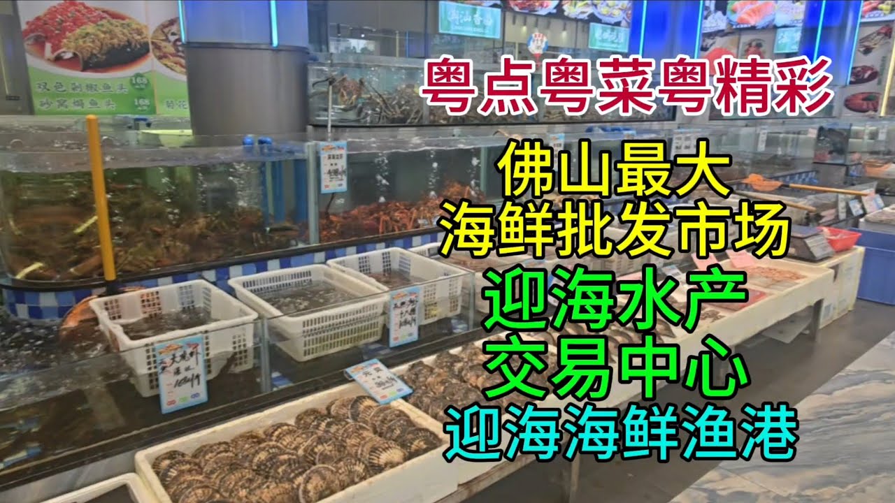 粤点粤菜粤精彩，佛山最大海鲜批发市场，迎海水产交易中心，迎海海鲜渔港，粤语中字幕2026--3-12