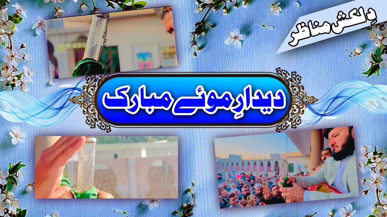 دل کو سکون دینے والے مناظر دیدار زولف مبارک آقا کریم محمد مصطفی صلی اللہ علیہ وسلم