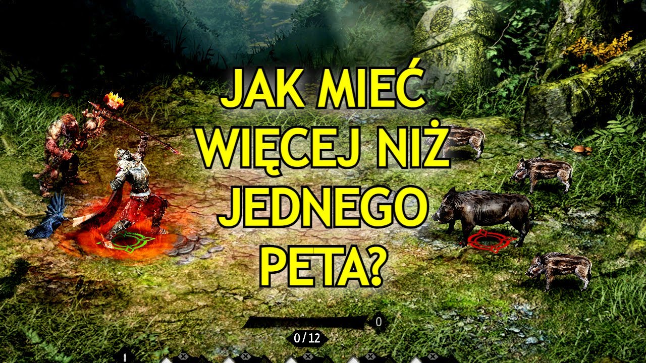 Broken Ranks - Wataha dla każdego - druid najlepszą profesją do gry solo!? | Galajus