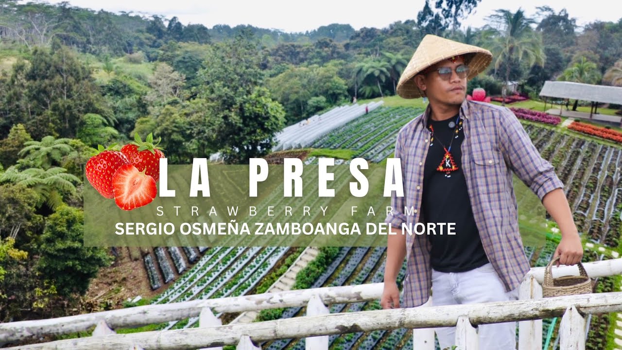 La Presa Strawberry Farm-Sergio Osmeña Zamboanga Del norte