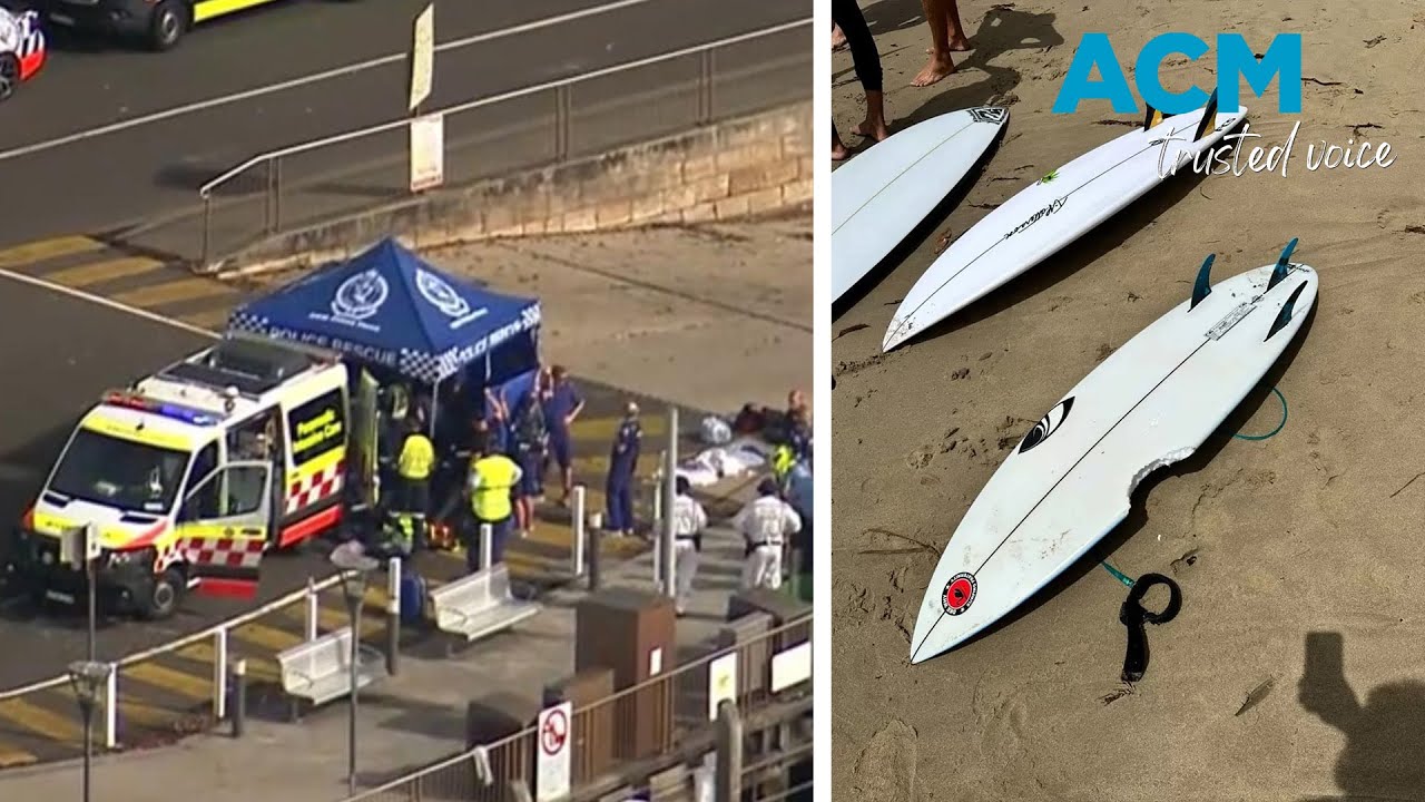 Two shark attacks within a day near Sydney’s beaches