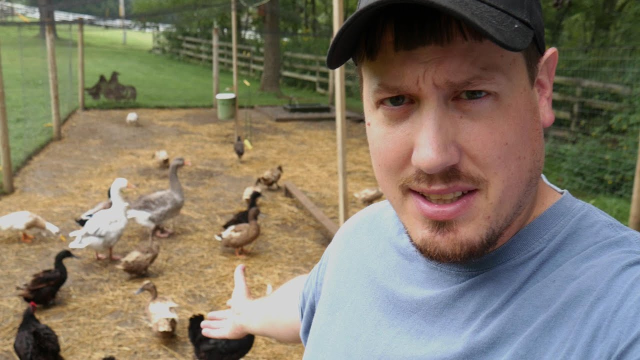 Chicken Coop Ideas!!!