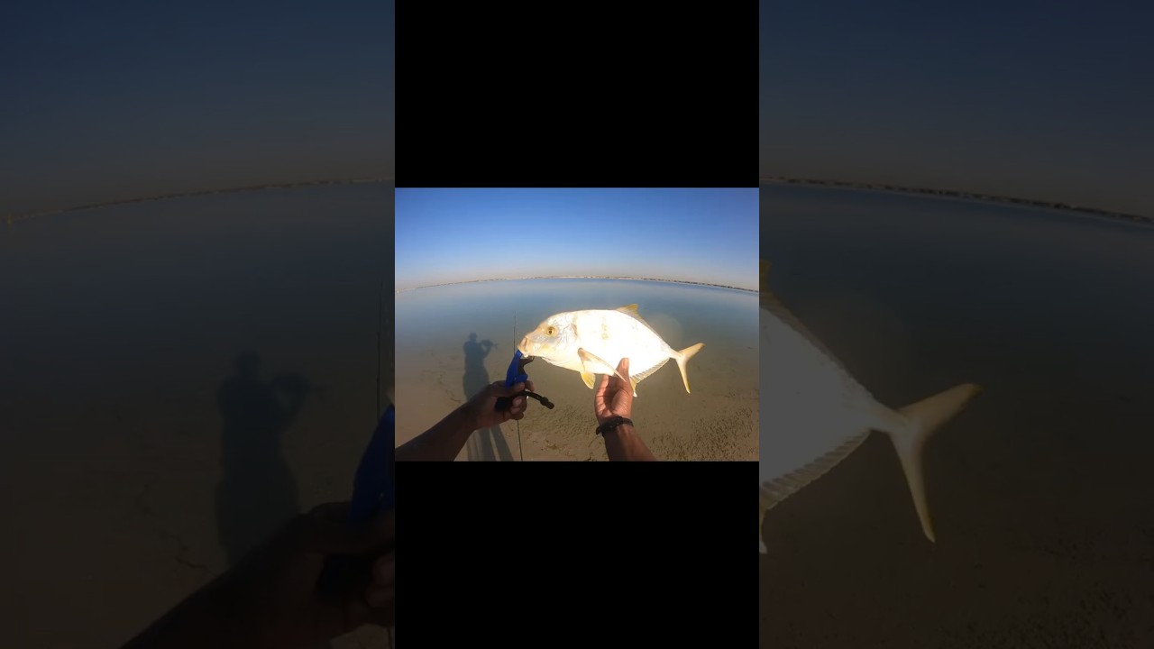 Caught one of my Bucket List fish! 