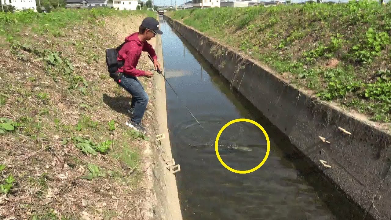 小魚の集まる水路に小魚ワームを投入したら…【油ヶ淵】