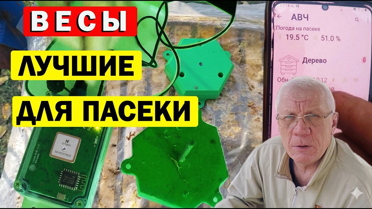 Весы для пасеки. Потрясающий помощник пчеловоду на пасеке.
