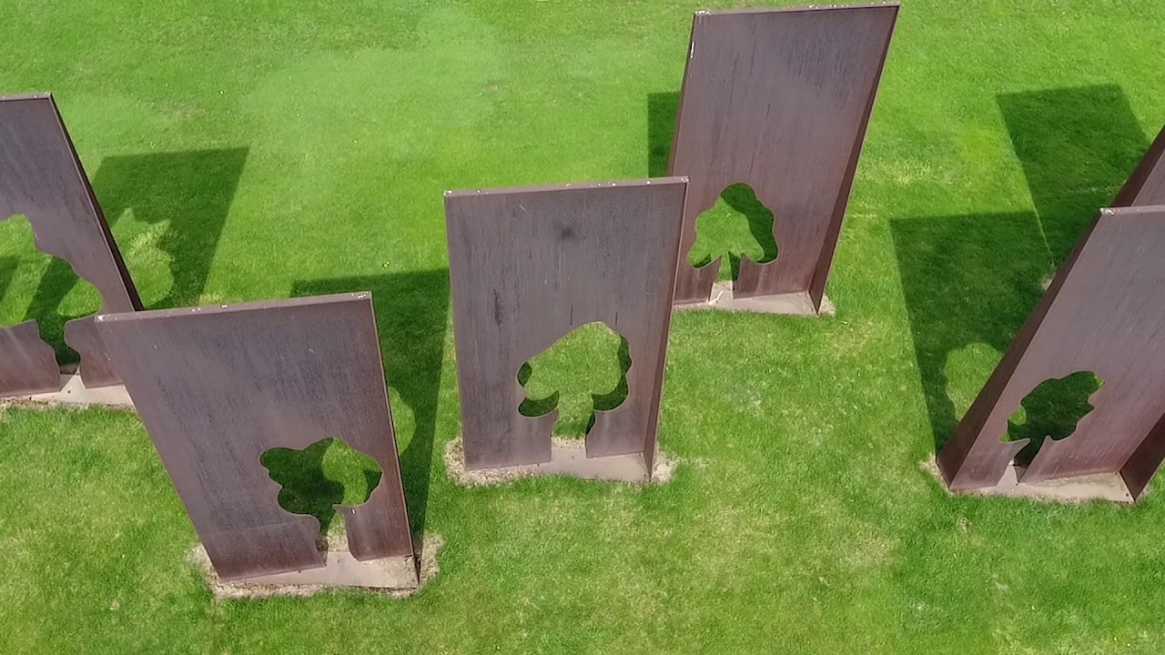 An ART 220 Film: Trees by Kadishman.