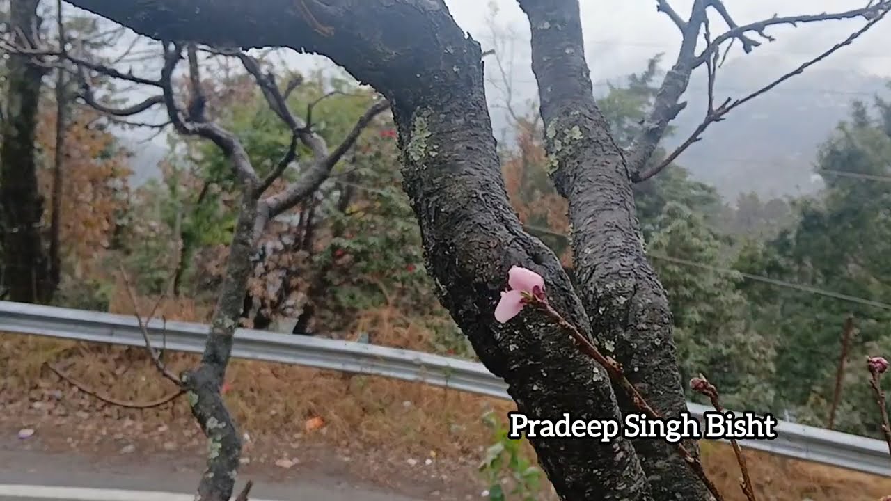 यहां  मुक्तेश्वर मे मौसम हर  पल बदल रहा है 