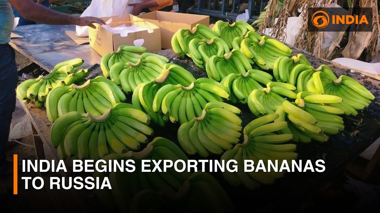 India begins exporting bananas to Russia | DD India News Hour