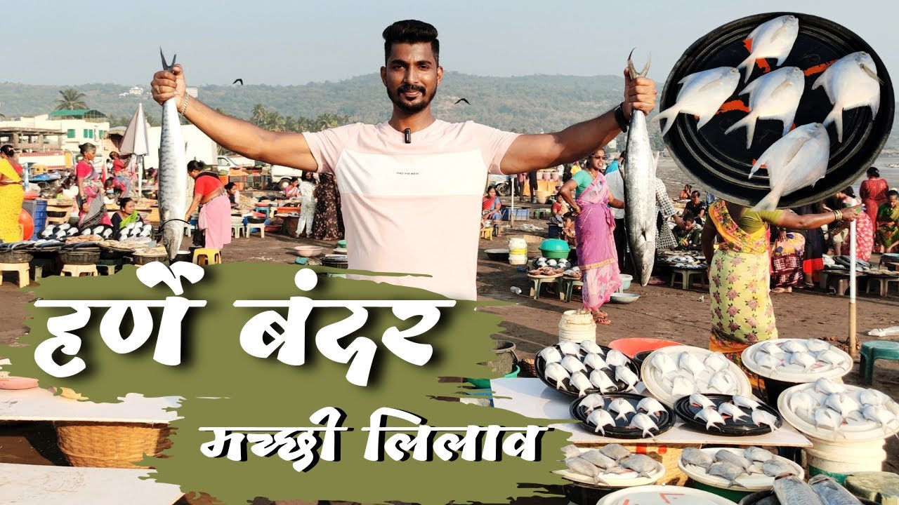Harnai Fish Market Auction || हर्णे मच्छी मार्केट लिलाव#fishing #food #dapoli #trending #nitinmore