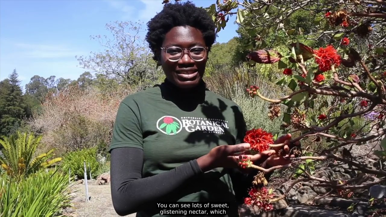 Virtual Plant Collections Tour