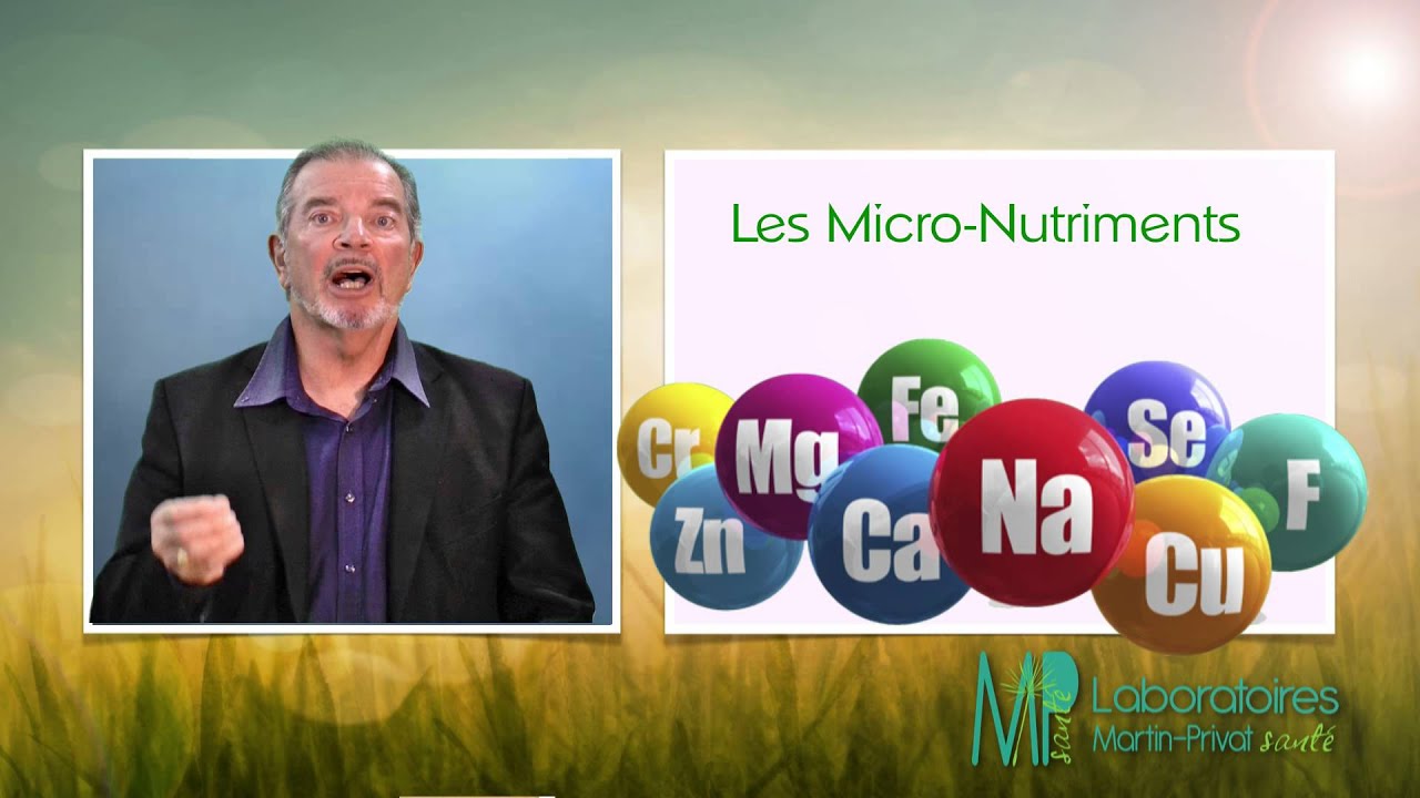 Comprendre la nutrition  09    Les micro nutriments