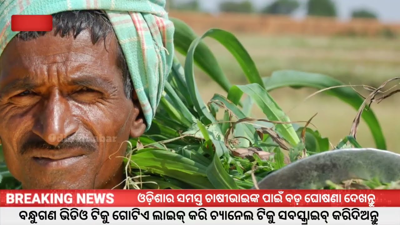 ପିଏମ କିଷାନ ୨୨ତମ କିସ୍ତି ₹2000 | Pm Kisan 22th Installment Date 2026 | Pm Kisan Yojana 22th kisti