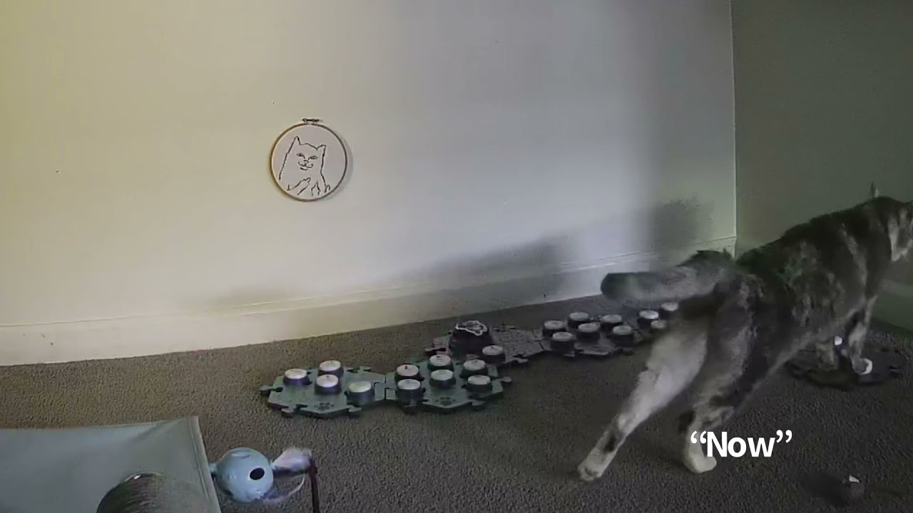 Now
