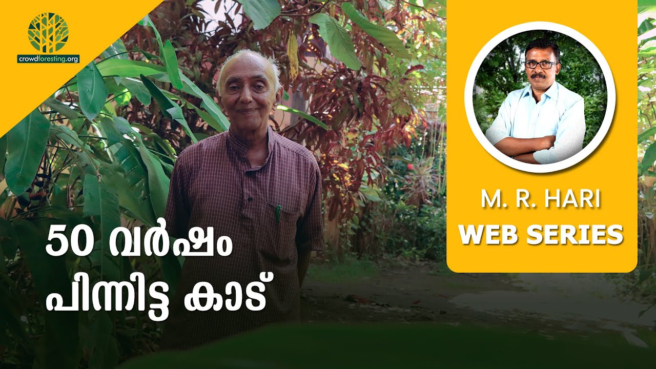 50 വർഷം പിന്നിട്ട കാട് | FORESTS AS STRESS-BUSTERS: BENEFITS OF DR GEORGE MATHEW’S HOLIGRATIVE WALK