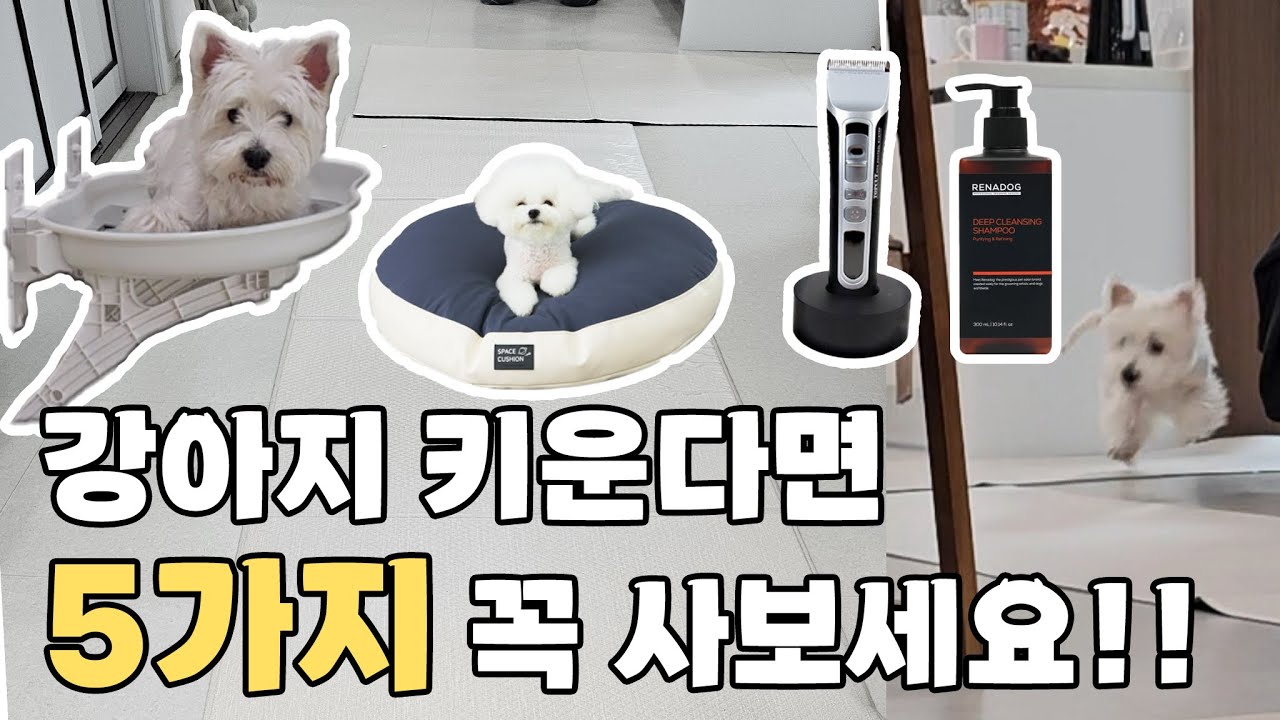 키우면서 가장 만족한 강아지 용품 5가지+강아지 용품 추천리스트 30가지ㅣ 애견용품